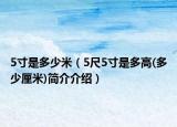 5寸是多少米（5尺5寸是多高(多少厘米)简介介绍）