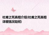 杜甫之死真相介绍(杜甫之死真相详细情况如何)