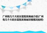 广州有几个大码女装批发商城介绍(广州有几个大码女装批发商城详细情况如何)