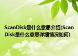 ScanDisk是什么意思介绍(ScanDisk是什么意思详细情况如何)