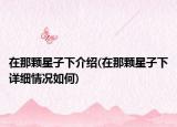 在那颗星子下介绍(在那颗星子下详细情况如何)