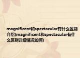 magnificent和spectacular有什么区别介绍(magnificent和spectacular有什么区别详细情况如何)