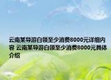 云南某导游白领至少消费8000元详细内容 云南某导游白领至少消费8000元具体介绍
