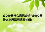 t3000是什么意思介绍(t3000是什么意思详细情况如何)