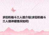 求街机格斗三人组介绍(求街机格斗三人组详细情况如何)