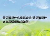 梦见狼是什么意思介绍(梦见狼是什么意思详细情况如何)