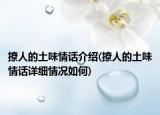 撩人的土味情话介绍(撩人的土味情话详细情况如何)