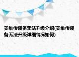 姜维传装备无法升级介绍(姜维传装备无法升级详细情况如何)