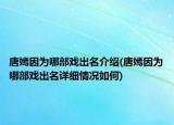 唐嫣因为哪部戏出名介绍(唐嫣因为哪部戏出名详细情况如何)