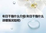 年日干指什么介绍(年日干指什么详细情况如何)