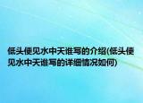 低头便见水中天谁写的介绍(低头便见水中天谁写的详细情况如何)
