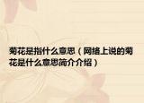 菊花是指什么意思（网络上说的菊花是什么意思简介介绍）