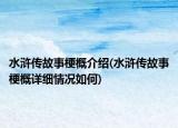 水浒传故事梗概介绍(水浒传故事梗概详细情况如何)