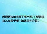 新疆阿拉尔市属于哪个区?（新疆阿拉尔市属于哪个地区简介介绍）