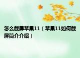 怎么截屏苹果11（苹果11如何截屏简介介绍）