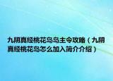 九阴真经桃花岛岛主令攻略（九阴真经桃花岛怎么加入简介介绍）