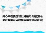 开心果在我国可以种植吗介绍(开心果在我国可以种植吗详细情况如何)