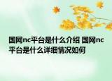 国网nc平台是什么介绍 国网nc平台是什么详细情况如何