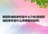 琥珀形成的条件是什么介绍(琥珀形成的条件是什么详细情况如何)