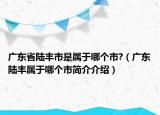 广东省陆丰市是属于哪个市?（广东陆丰属于哪个市简介介绍）