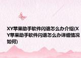 XY苹果助手软件闪退怎么办介绍(XY苹果助手软件闪退怎么办详细情况如何)