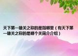 天下第一雄关之称的是指哪里（有天下第一雄关之称的是哪个关简介介绍）