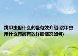 跳甲虫用什么药最有效介绍(跳甲虫用什么药最有效详细情况如何)
