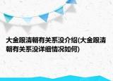 大金跟清朝有关系没介绍(大金跟清朝有关系没详细情况如何)