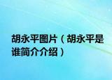 胡永平图片（胡永平是谁简介介绍）