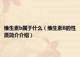 维生素b属于什么（维生素B的性质简介介绍）