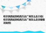 哈尔滨西站到哈西万达广场怎么走介绍(哈尔滨西站到哈西万达广场怎么走详细情况如何)