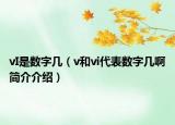 vI是数字几（v和vi代表数字几啊简介介绍）