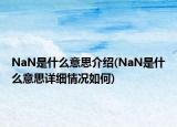 NaN是什么意思介绍(NaN是什么意思详细情况如何)