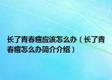 长了青春痘应该怎么办（长了青春痘怎么办简介介绍）