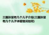 三国孙坚有几个儿子介绍(三国孙坚有几个儿子详细情况如何)