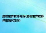 魔兽世界牧师介绍(魔兽世界牧师详细情况如何)