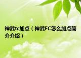 神武tc加点（神武FC怎么加点简介介绍）