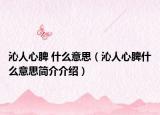 沁人心脾 什么意思（沁人心脾什么意思简介介绍）