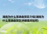 湖南为什么落选自贸区介绍(湖南为什么落选自贸区详细情况如何)