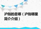 沪指的是哪（沪指哪里简介介绍）