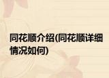 同花顺介绍(同花顺详细情况如何)