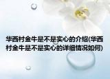 华西村金牛是不是实心的介绍(华西村金牛是不是实心的详细情况如何)