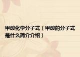 甲酸化学分子式（甲酸的分子式是什么简介介绍）