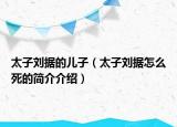太子刘据的儿子（太子刘据怎么死的简介介绍）