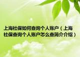 上海社保如何查询个人账户（上海社保查询个人账户怎么查简介介绍）