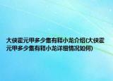 大侠霍元甲多少集有释小龙介绍(大侠霍元甲多少集有释小龙详细情况如何)