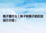篦子是什么（箅子和篦子的区别简介介绍）
