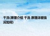 干洗(原理介绍 干洗 原理详细情况如何)