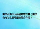 妄想山海什么的翅膀可以吞（妄想山海怎么吞噬翅膀简介介绍）