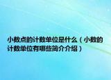 小数点的计数单位是什么（小数的计数单位有哪些简介介绍）